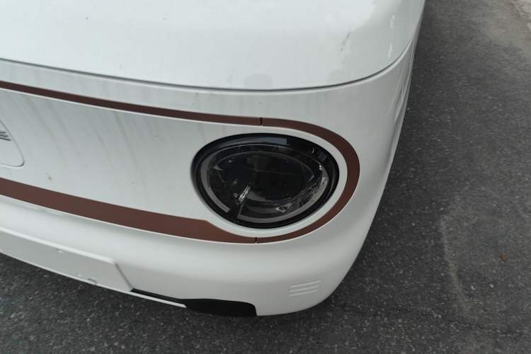 Used  Panda 2024 Panda Mini 200km Endurance Bear
