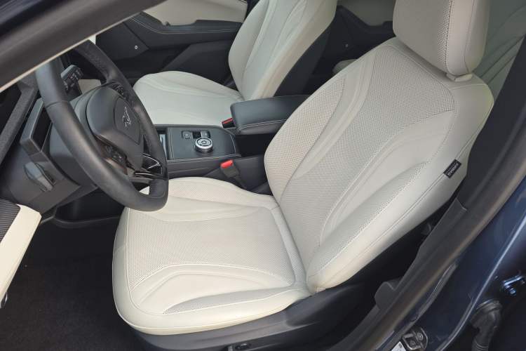 Used Ford Mustang Mach-E 2021 AION Y Plus Rear-Drive Luxury Edition (Long Range)