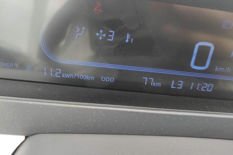 Used  Panda 2025 210 km – Yuanqi Bear
