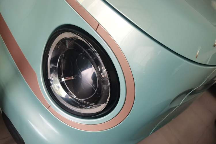 Used  Panda 2024 Panda Mini 200km Endurance Bear
