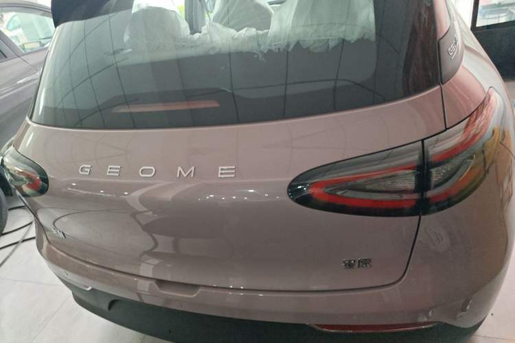 Used  Geome 2025 310km Youth Edition
