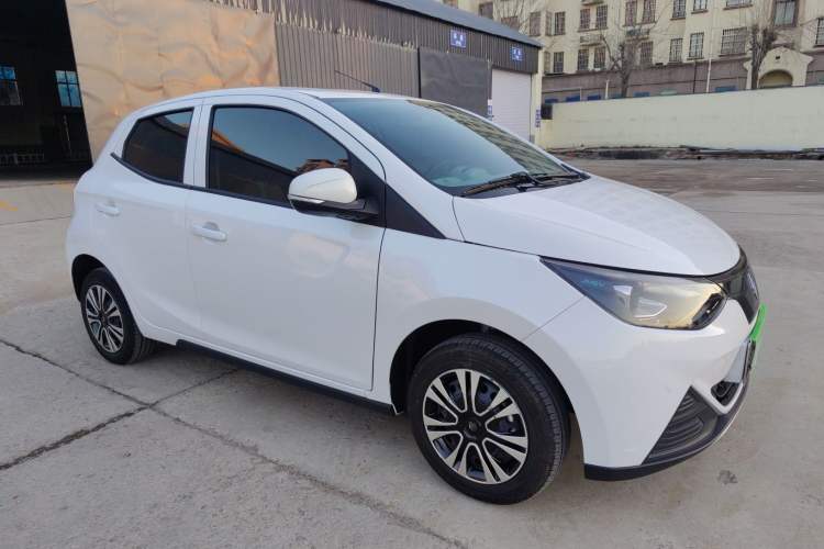 Used JMEV  2024 201km Comfort Version
