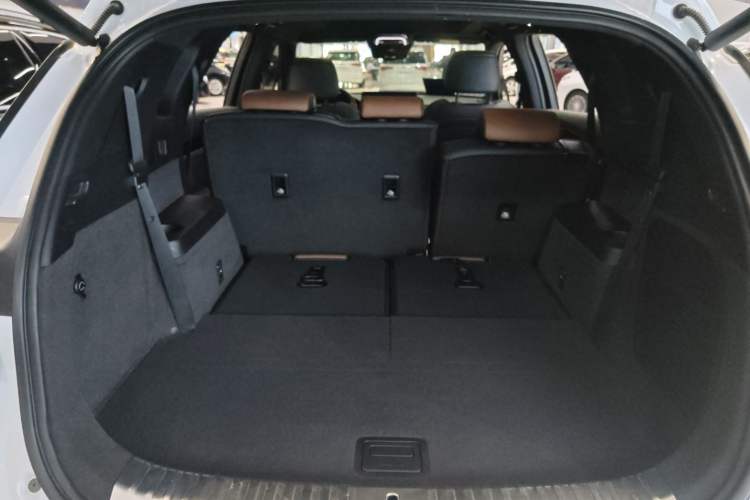 Used BYD Tang New Energy 2021 DM 2.0T Four-Wheel Drive High-Performance Luxury Model
