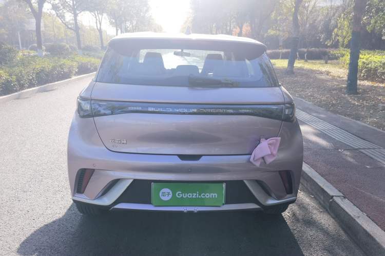 Used BYD Dolphin 2024 Honor Edition 420km Freedom Version
