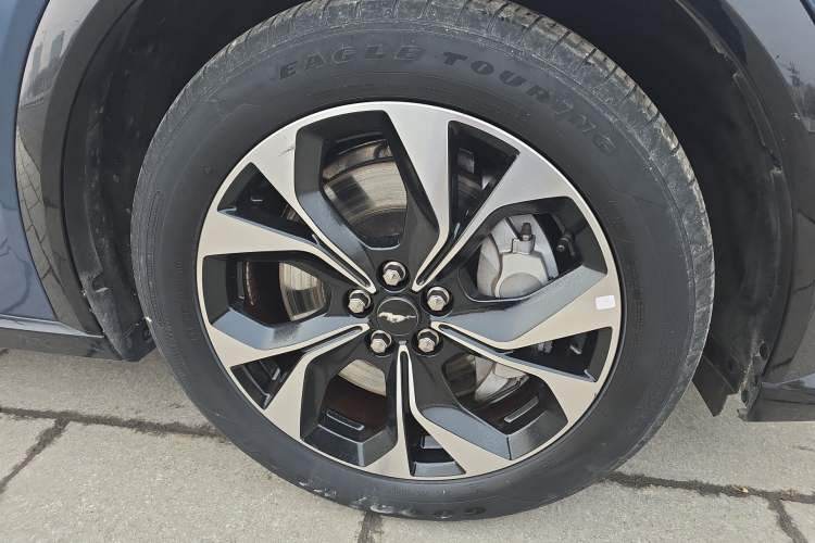 Used Ford Mustang Mach-E 2021 AION Y Plus Rear-Drive Luxury Edition (Long Range)