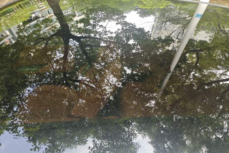 Used  S07 2024 215Max Range-Extended Version
