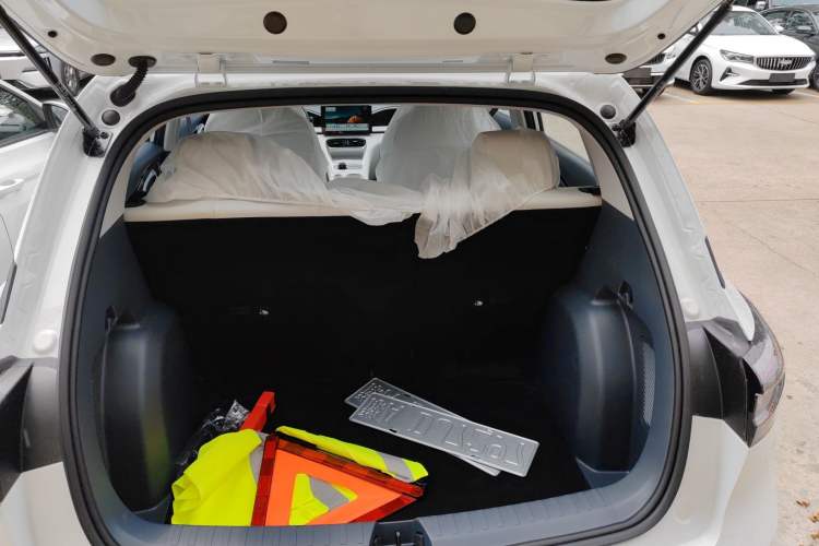 Used  Geome 2025 310km Youth Edition
