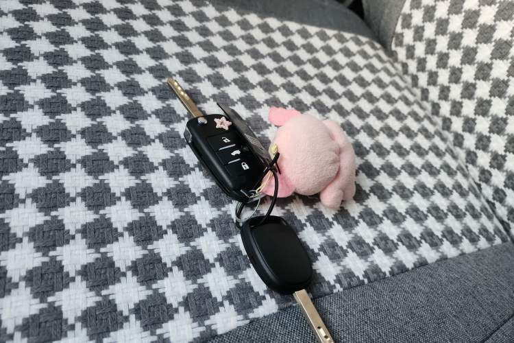 Used  Lumin 2025 205 km Xiangqin Version