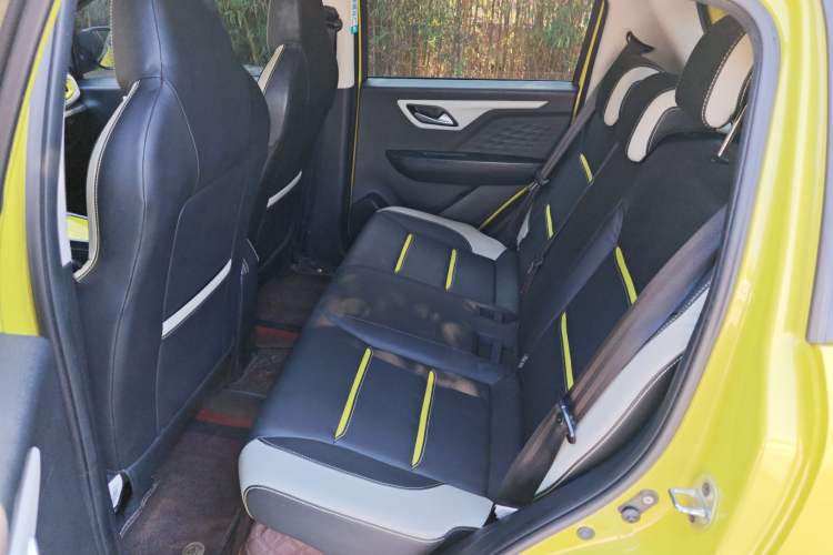 Used SOL E10X 2022 Flower Fairy Style Baby's Breath
