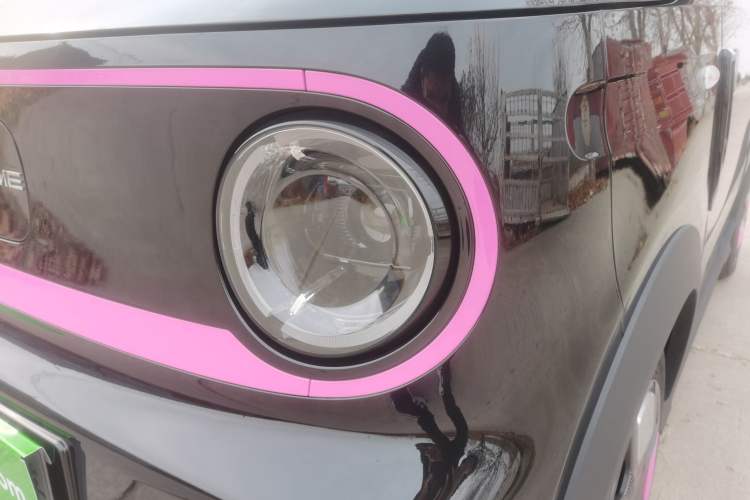 Used  Panda 2024 200km Panda Kart
