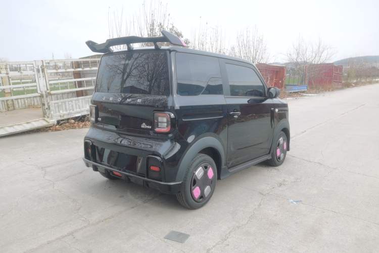 Used  Panda 2024 200km Panda Kart
