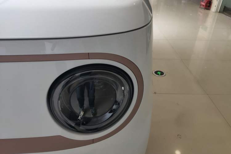 Used  Panda 2024 Panda Mini 200km Endurance Bear
