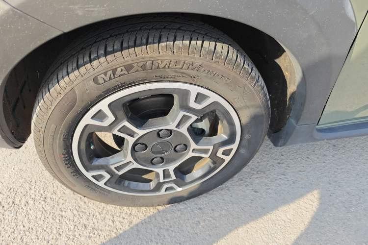 Used  Panda 2024 200km Panda Rider
