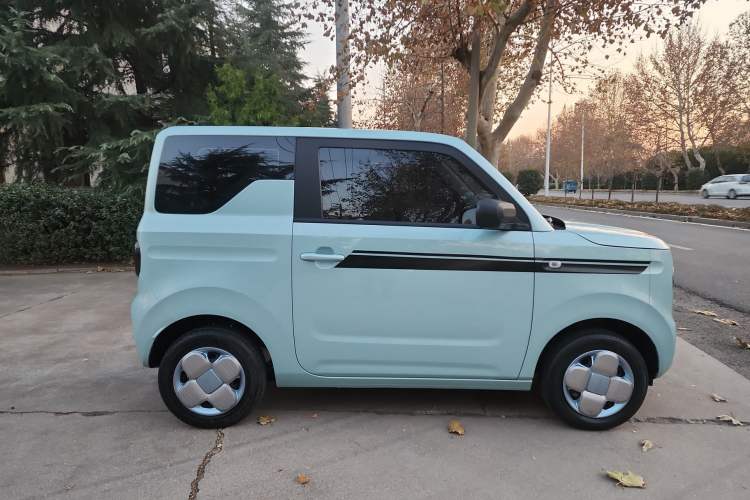 Used  Panda 2024 Panda Mini 200km Endurance Bear