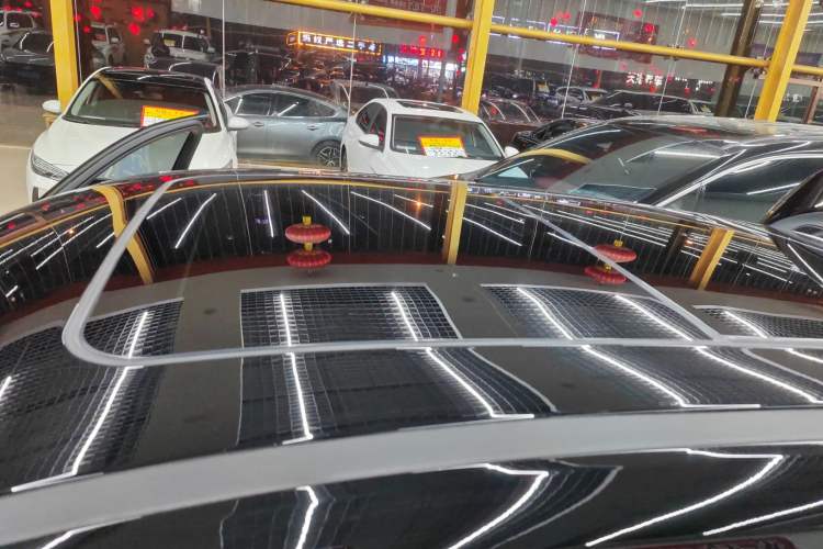 Used  Stellar C-DM 2025 210 Extended-Range Pro Two-Wheel Drive
