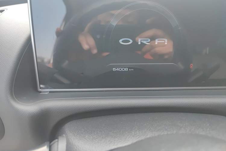 Used ORA White Cat 2020 305 km Luxury Version
