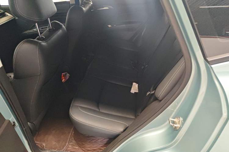 Used NETA V 2021 Long-Range Entertainment Edition Upgrade Model
