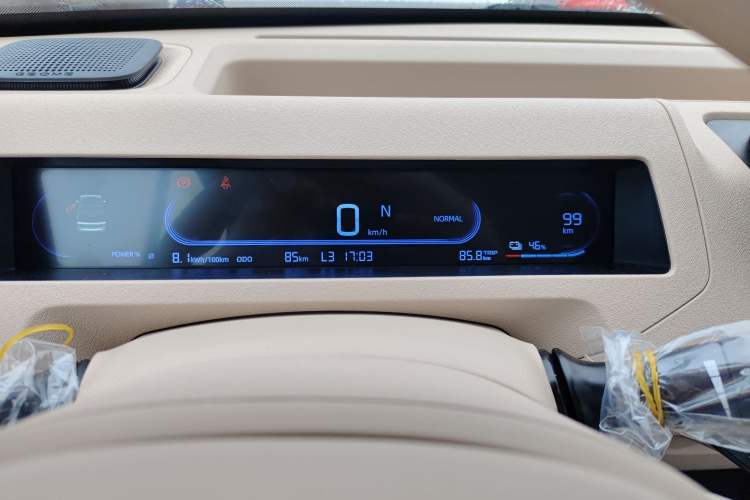 Used  Panda 2024 Panda Mini 200km Endurance Bear