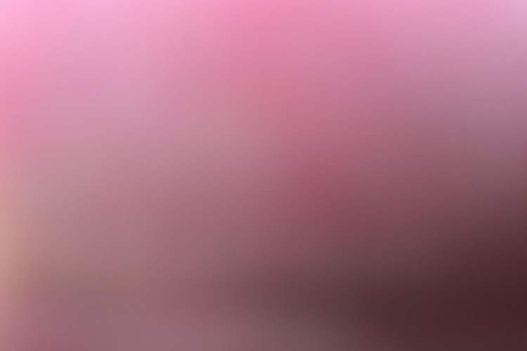 Used Tank 300 2021 Off-Road Edition 2.0T Conqueror
