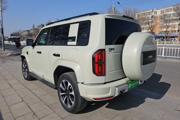 Used  Leopard 5 2025 TianShen Intelligent Driving Ultra Edition

