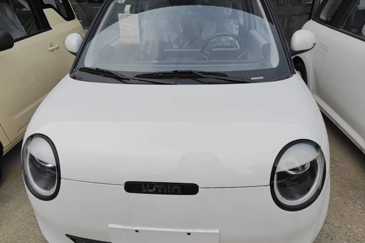 Used  Lumin 2025 205km Refreshing Edition
