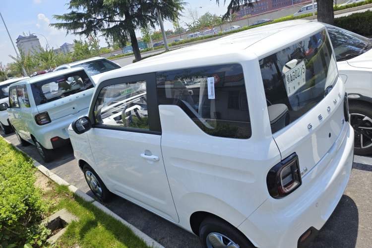 Used  Panda 2024 Panda Mini 200km Endurance Bear
