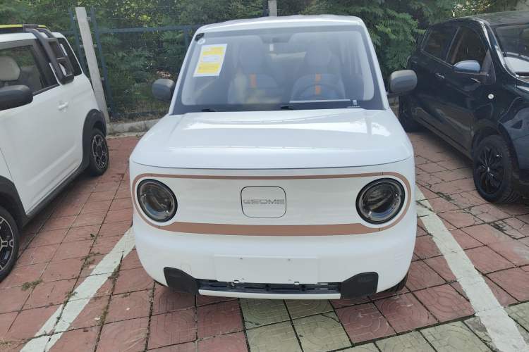 Used  Panda 2024 Panda Mini 200km Endurance Bear
