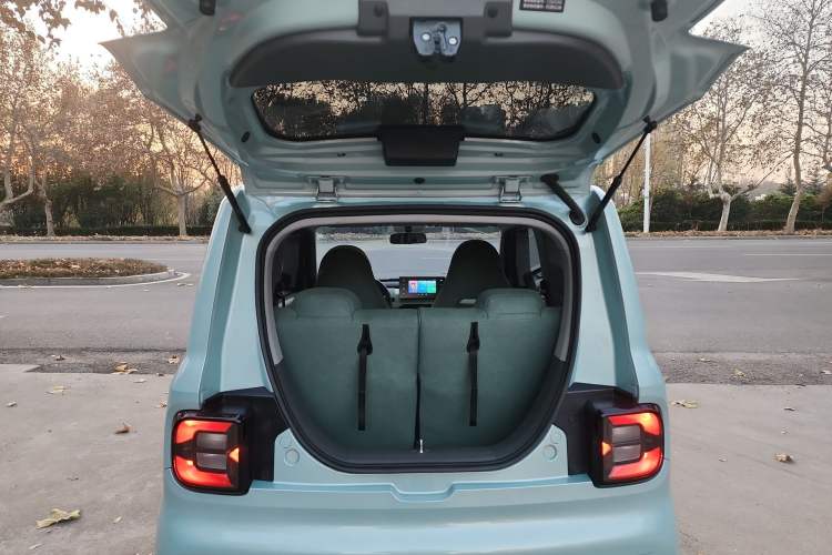 Used  Panda 2024 Panda Mini 200km Endurance Bear