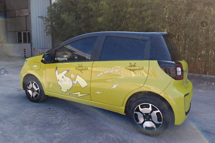 Used SOL E10X 2022 Flower Fairy Style Baby's Breath
