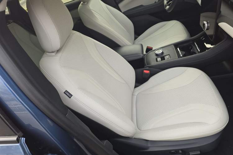 Used Ford Mustang Mach-E 2021 AION Y Plus Rear-Drive Luxury Edition (Long Range)