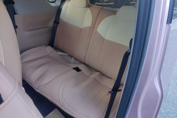 Used  Panda 2023 Panda Mini 200km Endurance Bear
