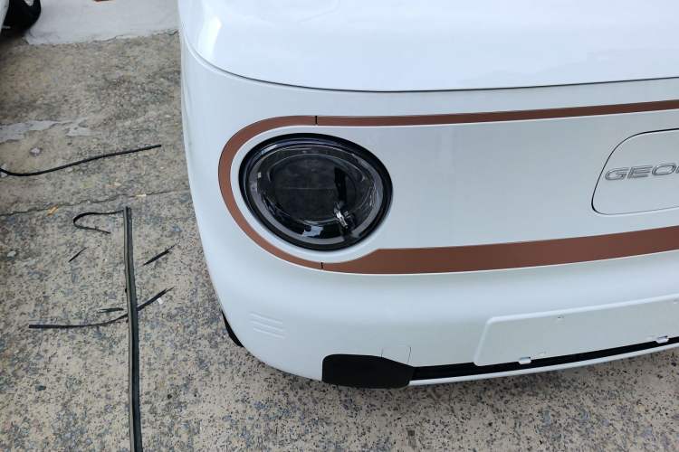 Used  Panda 2024 Panda Mini 200km Endurance Bear
