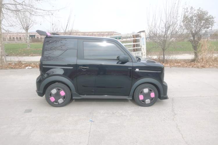 Used  Panda 2024 200km Panda Kart
