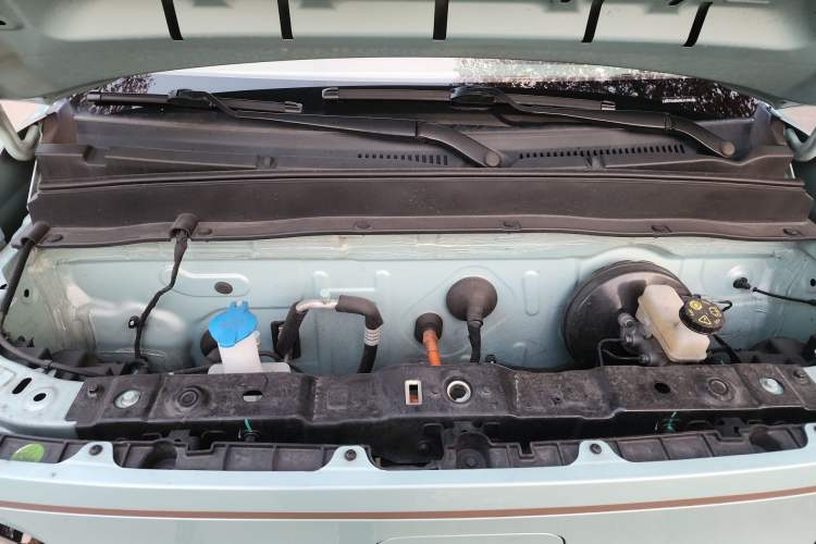 Used  Panda 2024 Panda Mini 200km Endurance Bear