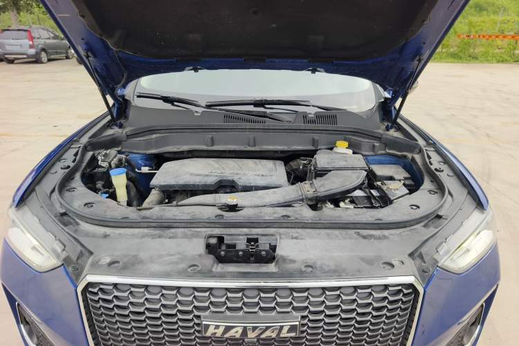 Used Haval F5 2019 National Trend Edition 1.5T i-Trend China V Standard
