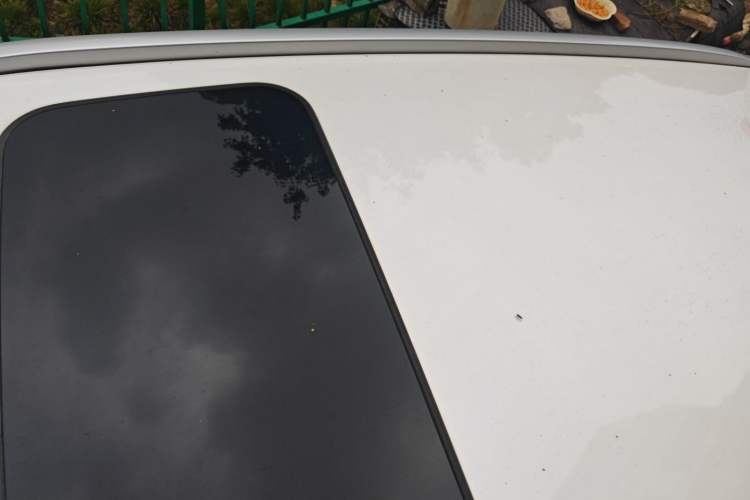 Used Haval H6 2021 National Trend Edition 1.5T Automatic Urban Version
