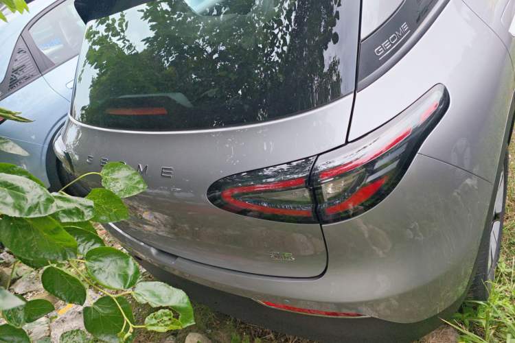 Used  Geome 2025 310km Youth Edition
