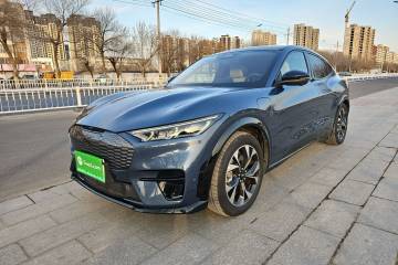 Used Ford Mustang Mach-E 2021 AION Y Plus Rear-Drive Luxury Edition (Long Range)