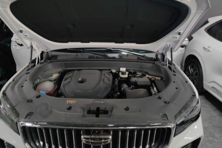 Used Geely Auto Monjaro L 2024 2.0TD High-Power Automatic Two-Wheel Drive Skyline Edition
