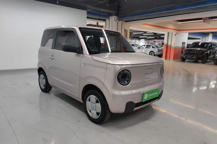 Used  Panda 2023 Panda Mini 200km Endurance Bear