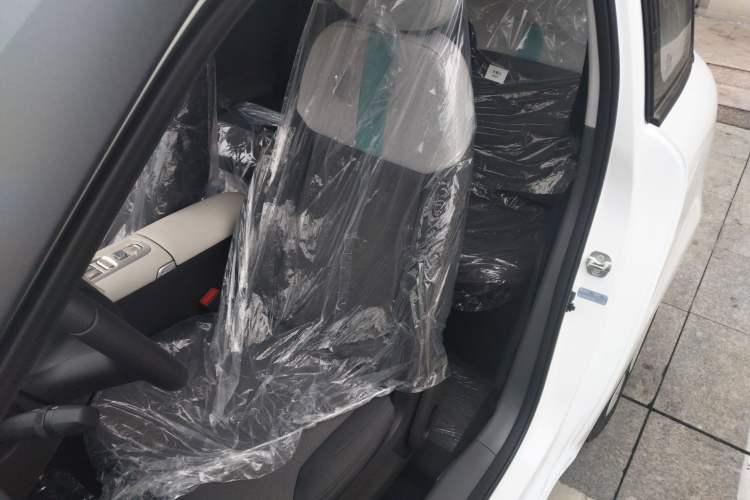 Used  Lumin 2025 205 km Xiangqin Version
