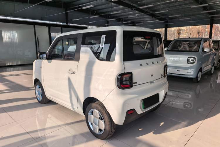 Used  Panda 2024 Panda Mini 200km Endurance Bear
