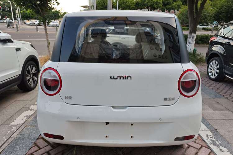 Used  Lumin 2023 205km Xiangqin Version
