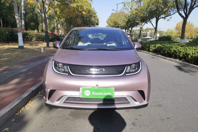 Used BYD Dolphin 2024 Honor Edition 420km Freedom Version
