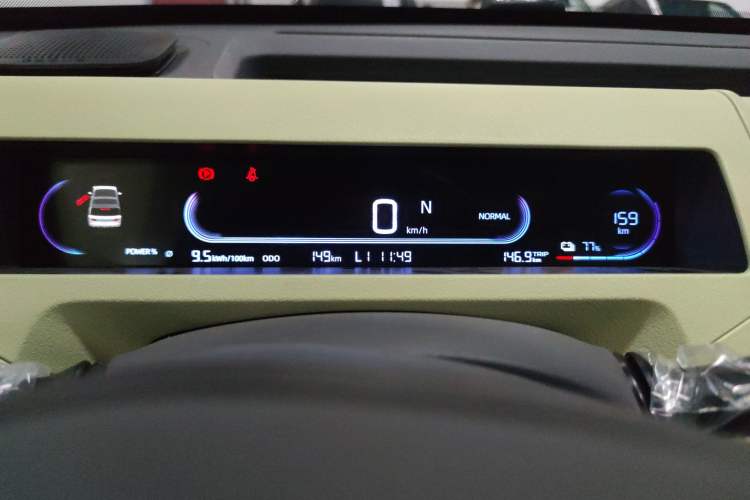 Used  Panda 2024 Panda Mini 200km Endurance Bear
