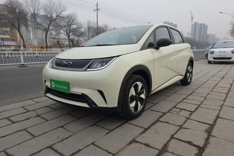 Used BYD Dolphin 2025 420km Free Edition