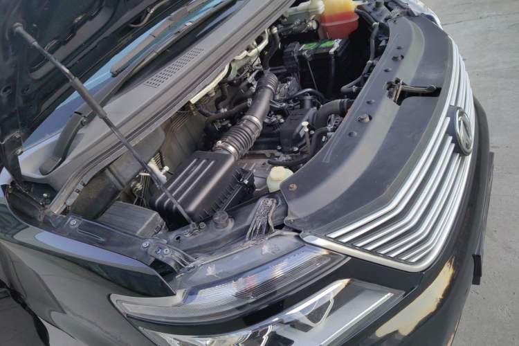 Used FORTHING Lingzhi 2019 M5L 1.6L 7-Seater Base Model China VI Standard
