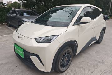 Used BYD Seagull 2023 Active Version