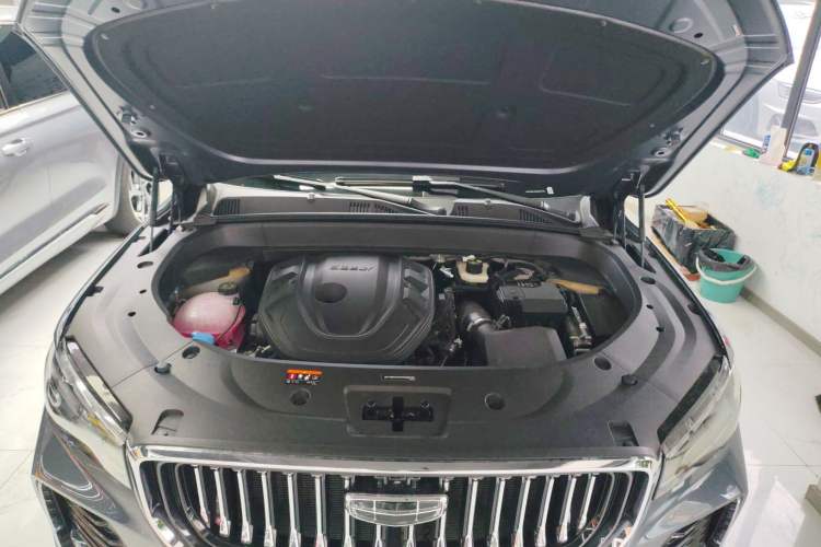 Used Geely Auto Monjaro L 2024 2.0TD DCT EVO Two-Wheel Drive Long-Range Version
