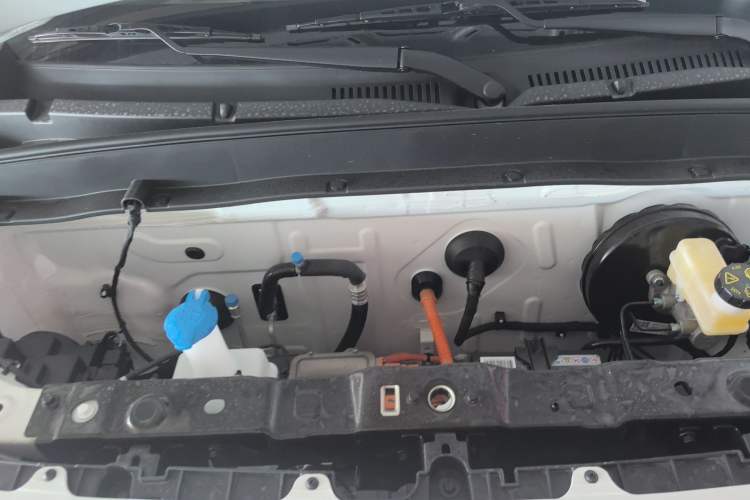 Used  Panda 2024 Panda Mini 200km Endurance Bear
